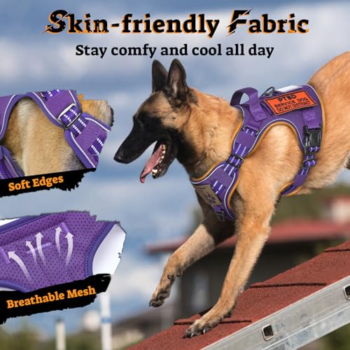 rabbitgoo Tactical Dog Harness for Small Dogs, No Pull Service Pet Vest - color: Purple, size: S(Chest:16.1"-31.5",Neck:15.4"-21.6",Back:7.1")