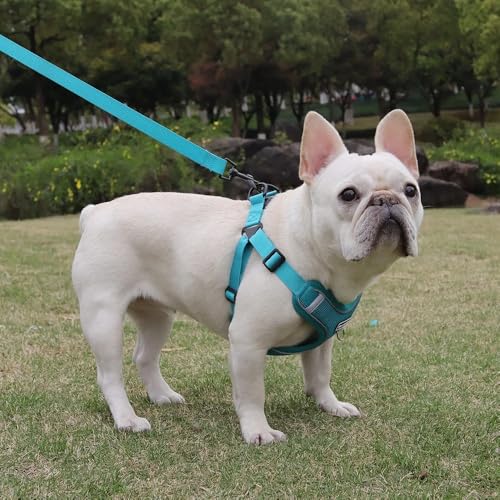 Dog Harness and Leash Set, Adjustable Triangle, Reflective Adjustable Puppy Vest, No Pull Soft Mesh Harness for Small, Medium Dogs, Cats (Turquoise, L) - color: Turquoise, size: L