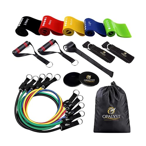 Resistance Bands with Handles, 11-Piece Exercise Band Set for Home Gym, 5 Stackable Tubes with Door Anchor, Ankle Straps and Carry Bag