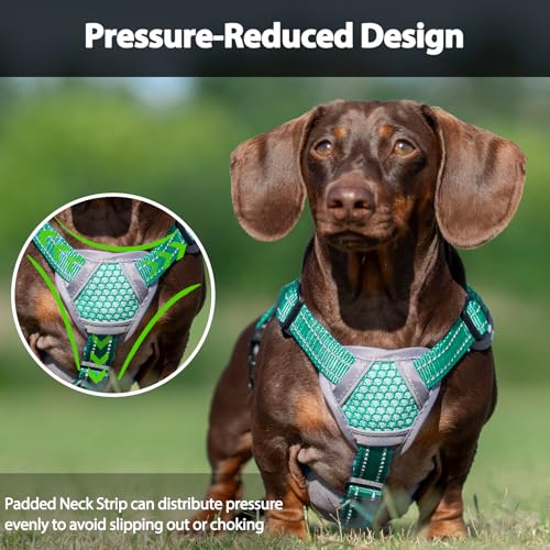 Huntboo Escape Proof Dog Harness, Dachshund Harness, Reflective Dog Harness with Handle, Durable,Adjustable Vest for Small Medium Large Dogs Walking, Training, and Running Gear (Mint Green,S) - color: Mint Green, size: Small(Pack of 1)