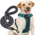 tobeDRI No Pull Dog Harness Adjustable Reflective Oxford Easy Control Medium Large Dog Harness with A Free Heavy Duty 5ft Dog Leash, Black/Blue, L - color: Black/Blue, size: Large