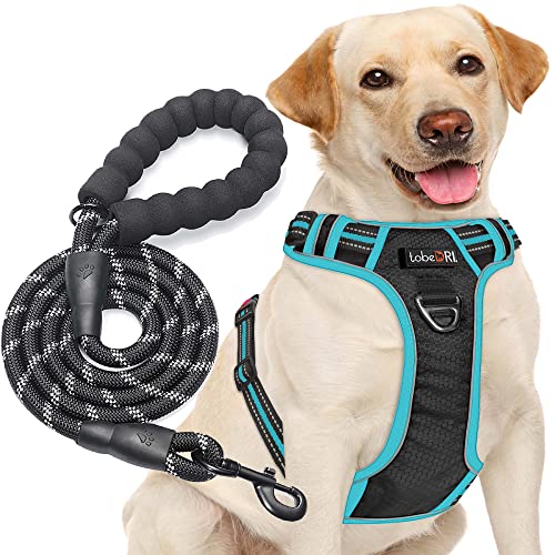 tobeDRI No Pull Dog Harness Adjustable Reflective Oxford Easy Control Medium Large Dog Harness with A Free Heavy Duty 5ft Dog Leash, Black/Blue, L - color: Black/Blue, size: Large