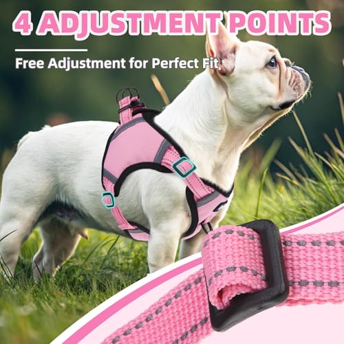 PUPTECK Dog Harness Small Sized Dog, Step in Adjustable Reflective Dog Vest Harness Escape Proof, No Pull Soft Padded Harness Easy Control, Pink, XS - color: Pink, size: XS (CHEST: 11.5"-16")