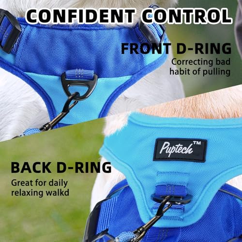 PUPTECK Escape Proof Dog Harness and Leash Set Upgraded No Pull Reflective Dog Vest with Lift Handle, Easy Control Pet Harness for Medium Large Dogs Training Walking Running, Blue, M - color: Blue/Sky, size: Medium