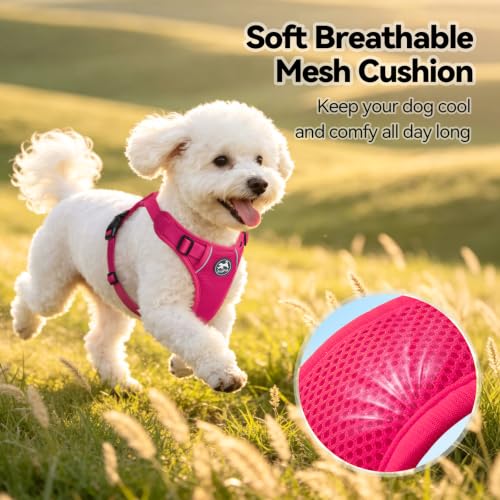 PoyPet Mesh Dog Harness, Reflective Breathable Puppy Vest for Small Dogs - color: Fuchsia, size: XS