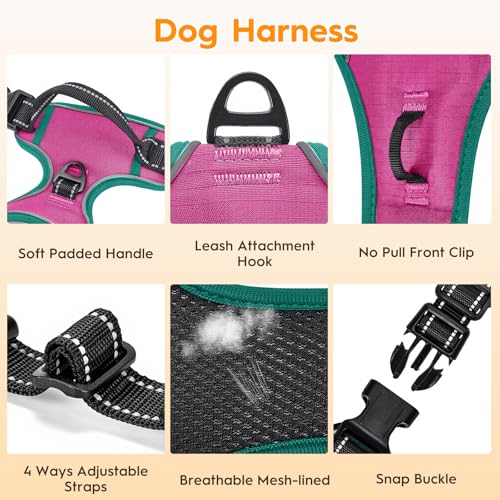 No Pull Dog Harness, No-Choke Soft Padded Reflective Dog Vest Harness with Front Clip & Top Handle, 2 Quick-Release Buckles, Adjustable for Small Medium Large Dogs - color: Pink/Turquoise, size: X-Small