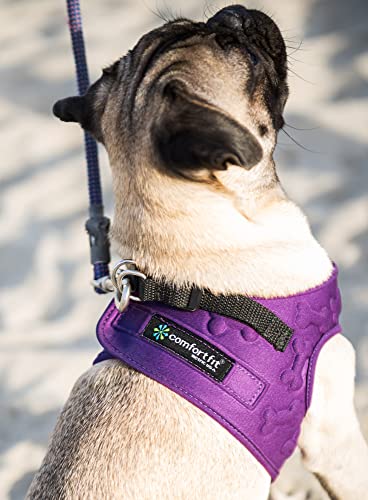 Comfort Fit Dog Harness, Easy Step-in Vest - Purple, Large - color: Purple, size: L (Chest 18" - 22")