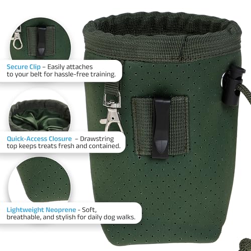 DOOG Treat & Training Pouch - Green | Clip-On Pouch for Dog Walks & Training - color: Green, size: Small