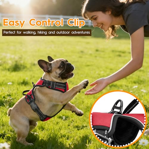 No Pull Dog Harness, No-Choke Soft Padded Reflective Dog Vest Harness with Front Clip & Top Handle, 2 Quick-Release Buckles, Adjustable for Small Medium Large Dogs - color: Red, size: X-Small