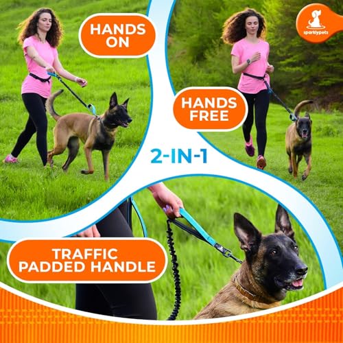SparklyPets Hands Free Dog Leash, Medium & Large Breeds (Gradient Pink) - color: Gradient Pink, size: 1 dog M/L