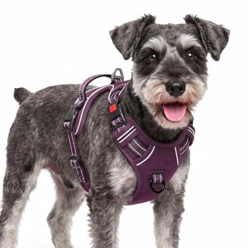 HEELE Harness Small Dog, No Pull No Choke Vest, Easy On & Off, Purple, S - color: Lock Purple, size: S (Pack of 1)