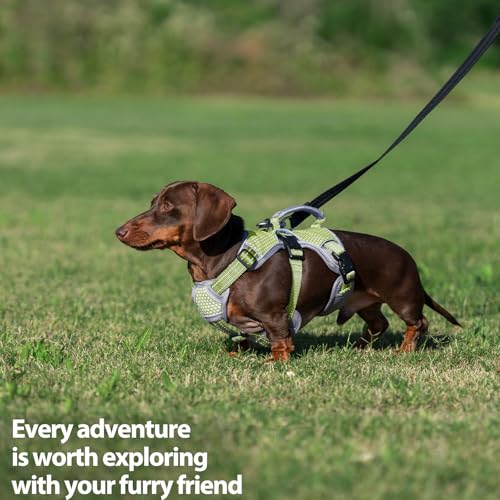 Huntboo Escape Proof Dog Harness, Dachshund Harness, Reflective Dog Harness with Handle, Durable,Adjustable Vest for Small Medium Large Dogs Walking, Training, and Running Gear (Green,M) - color: Green, size: Medium(Pack of 1)