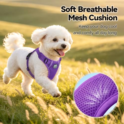PoyPet Mesh Dog Harness, Reflective Breathable Puppy Vest for Small Dogs - color: Purple, size: XS