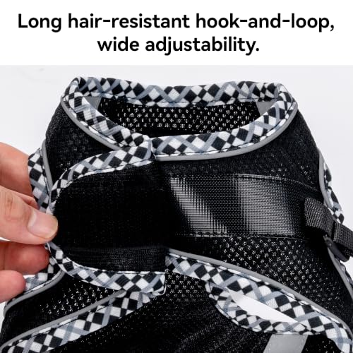 Petank Step in Dog Harness No Pull and Leash for Small Medium Dogs Cats. - color: Black, size: XXS