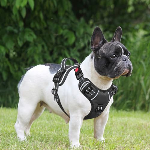 HEELE Dog Harness for Medium, Reflective No Pull Front Clip Vest, Black, M - color: Lock Black, size: M (Pack of 1)