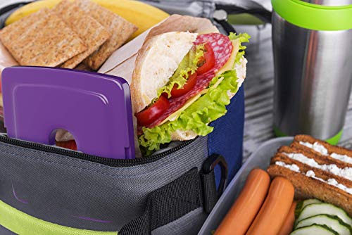 Healthy Packers Ice Packs for Lunch Boxes, Long Lasting Reusable 5pk Square - color: 5-Pack (Square)