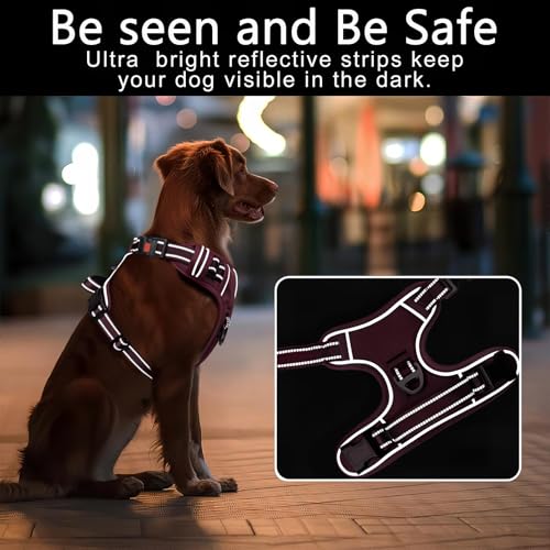 HEELE Dog Harness, Breathable Padded, No Pull Front Clip Vest, Burgundy S - color: Lock Burgundy, size: S (Pack of 1)