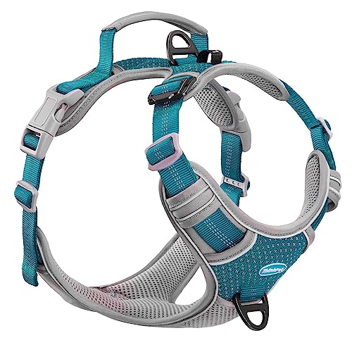 ThinkPet No Pull Harness for Small Medium Large Dogs, Reflective Padded Vest with Handle, Adjustable Star Style - color: Bright Teal, size: XL(Chest:24"-33")