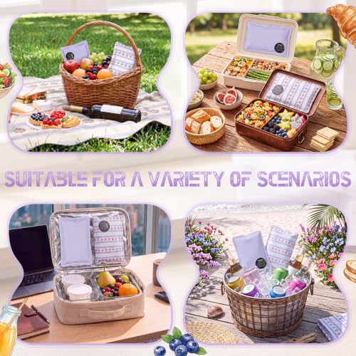 VIHOSE 2 Pcs Ice Packs for Lunch Box Bag - color: Purple, style: Primrose
