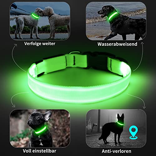 Light Up Dog Collar, Rechargeable USB Collar, Waterproof, Luminous LED Collar, Adjustable, Super Bright, Night Walking for Small Medium Large Dogs, Green, M - color: Green, size: Medium