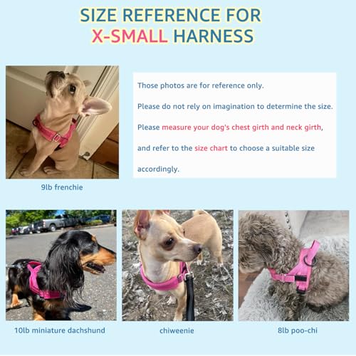 SlowTon No Pull Small Dog Harness and Leash Set with Front Clip - color: Fuchsia, size: X-Small