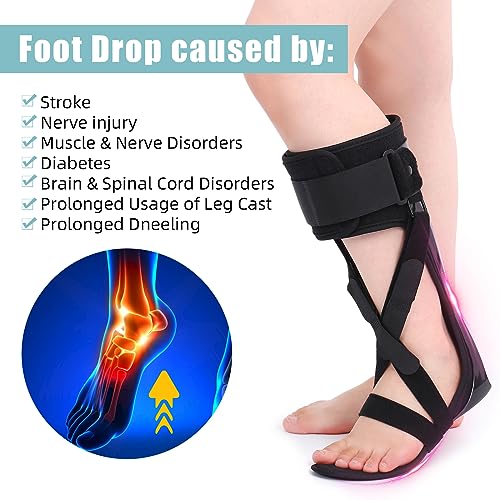 Medical AFO Foot Drop Brace Ankle Foot Orthosis Drop Foot Stabilizer Support for Walking with Shoe for Men and Women for Stroke, MS, Hemiplegia Foot Drop, ALS (XL-Left) - size: XL-Left