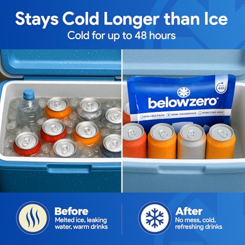 Below Zero Prefilled Reusable Ice Packs for Coolers | Long Lasting Freezer Ice Blocks for Camping, Lunch Bags & More | 48 Hour Cooler Ice Pack Technology - style: Medium - 2pk (New Design)