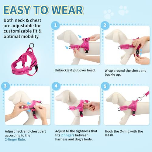 SlowTon No Pull Small Dog Harness and Leash Set with Front Clip - color: Fuchsia, size: XX-Small