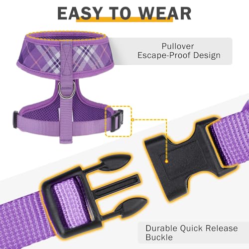 SCENEREAL No Pull Dog Harness and Leash Set Small Medium Sized Dog - color: Purple, size: XS: Chest Girth: 10"-14"