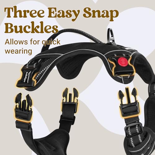 rabbitgoo Large Dog Harness, Easy Wear with 3 Buckles and Lift Handle - color: Black, size: Small