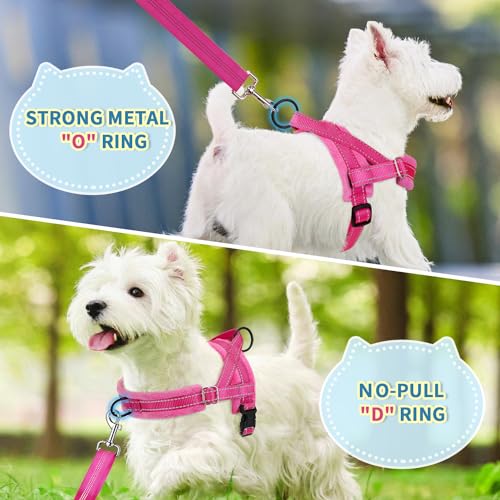 SlowTon No Pull Small Dog Harness and Leash Set with Front Clip - color: Fuchsia, size: XX-Small