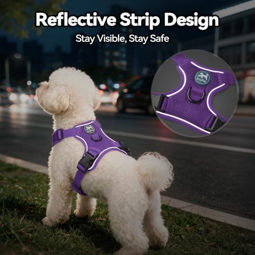 PoyPet Mesh Dog Harness, Reflective Breathable Puppy Vest for Small Dogs - color: Purple, size: XS