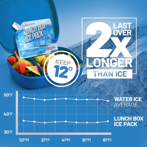 Everlasting Ice RX Reusable Ice Packs for Cooler (4 Pack) Up to 48 Hours Freezer Packs for Coolers and Lunch Boxes Cooler Ice Packs for Lunch Box, Camping, Fishing, Beach, Road Trips - size: Large 9.5" x 9.5" (4 Pack)