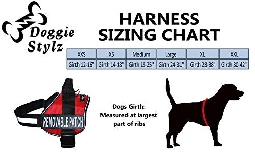 Doggie Stylz Blind Dog Harness - color: Tie Dye, size: Girth 24-31"