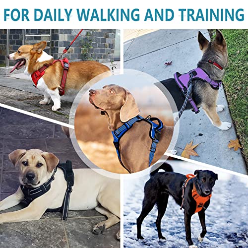Bokelai No Pull Dog Harness for Large Dogs, 2 Clips, Padded Pet Vest, Blue - color: Blue, size: L