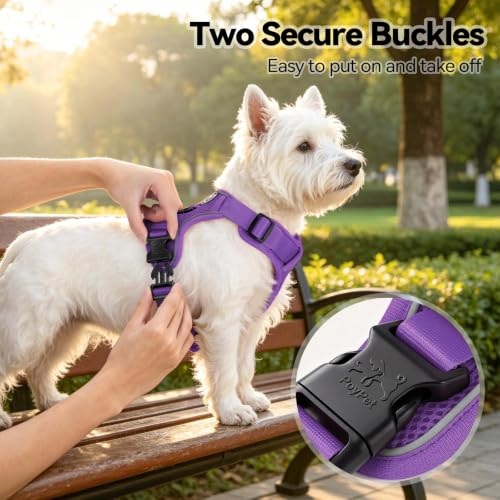 PoyPet Mesh Dog Harness, Reflective Breathable Puppy Vest for Small Dogs - color: Purple, size: XS