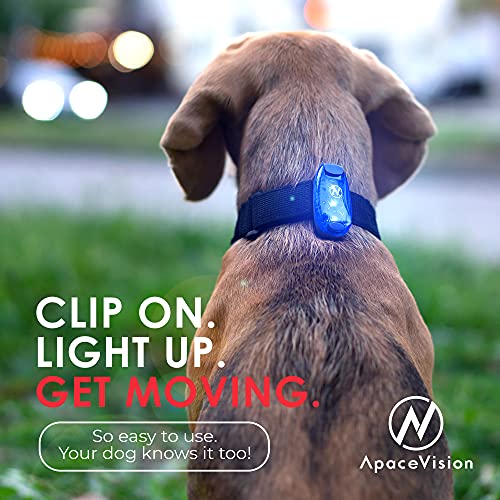 LED Safety Light (2 Pack) with Bonus Items – Clip On Strobe/Running Lights for Runners, Dogs, Bikes, Walking and More - color: Blue