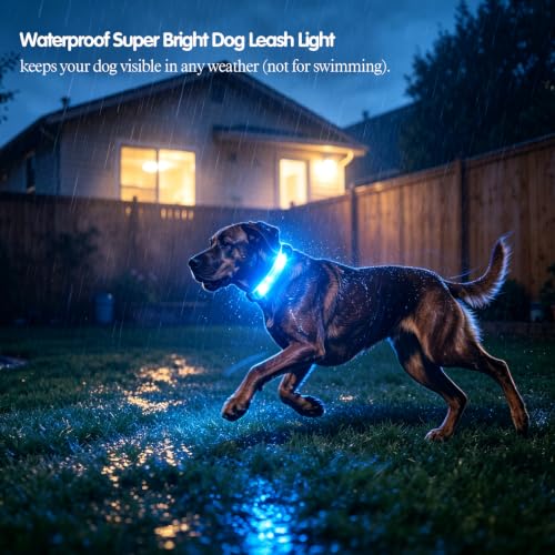 LED Dog Leash Light, Waterproof Bright Dog Safety Light for Night Walking - color: Green+Blue