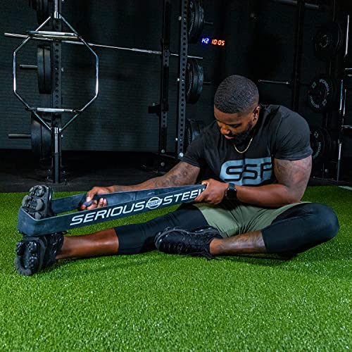 Serious Steel Fitness 32" Resistance Training Bands (Portable Exercise Band System Training Bands- Great for Individuals Under 5'10") - color: #5 Black (60-150 lbs.)