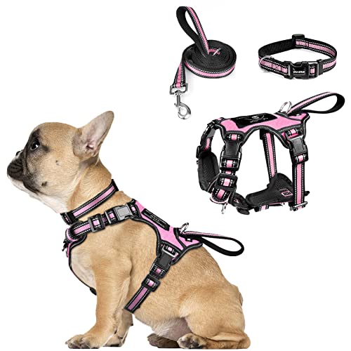 WINSEE Pet Harness Collar and Leash Set, All-in-one Reflective Dog Harness No Pull with Adjustable Buckles for Puppies, Small, Medium, Large, and Extra-Large Dogs (Small, Pink) - color: Pink, size: Small