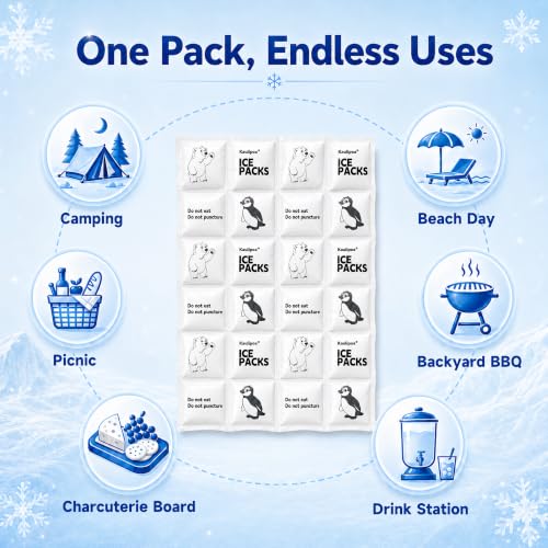 Reusable Ice Packs for Coolers, 6 Cut-to-Fit Flexible Ice Sheets