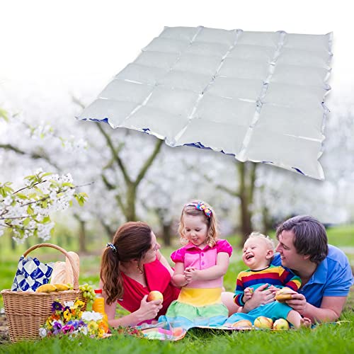 Reusable Dry Ice Packs for Shipping & Storage - Long Lasting Cold Packs for Lunch Box & Coolers - Ideal for Frozen Food & Drinks - style: 13"x14" 12 pcs(24 cells)