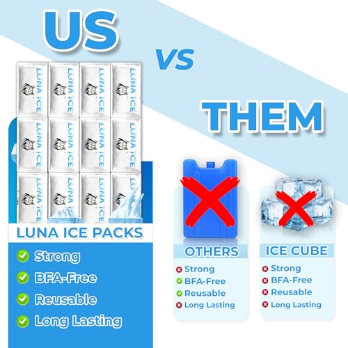 Dry Ice Packs for Shipping - Long Lasting ice Packs - 24+ Hour Freeze Power - BPA Free - 12 Pack Bulk 3 lb – Hielo Seco - Reusable Gel Bricks for Food - size: Medium