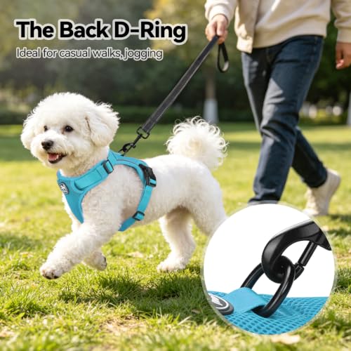PoyPet Mesh Dog Harness, Reflective Breathable Puppy Vest for Small Dogs - color: Blue, size: S