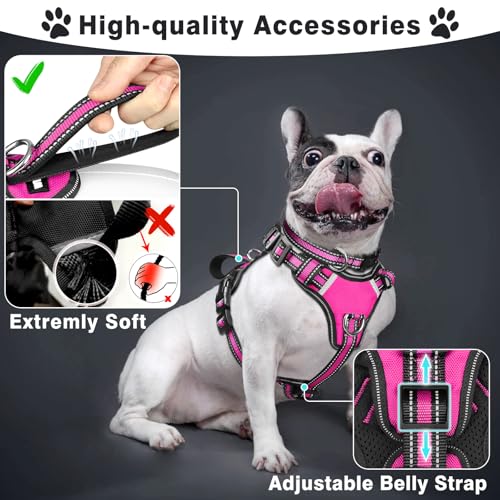 WINSEE Pet Harness Collar and Leash Set, All-in-one Reflective Dog Harness No Pull with Adjustable Buckles for Puppies, Small, Medium, Large, and Extra-Large Dogs (Large, Rosy) - color: Rosy, size: Large