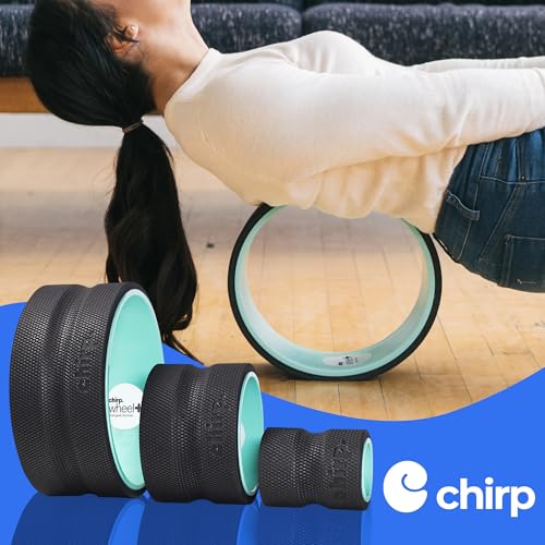 Chirp Wheel+ Foam Roller 3-Pack, Back & Neck Pain Relief, Mint - size: 3 Pack