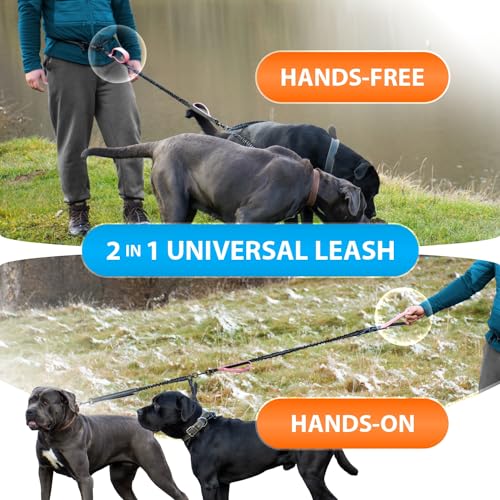 SparklyPets Hands Free Dual Dog Leash, Medium & Large (Pink) - color: Pink, size: 2 dogs M/L