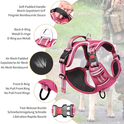 HEELE Dog Harness, Neck Release, No Pull Front Clip Vest, Reflective Rosy S - color: Lock Rosy, size: S (Pack of 1)