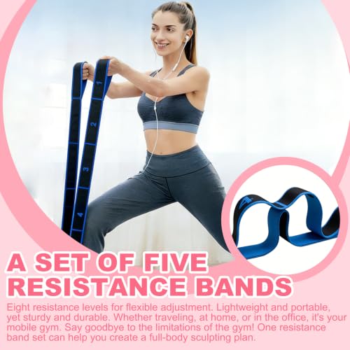 5 Pack Fitness Resistance Bands, Numbered Resistance Bands for Glutes, 8-Section Elastic Training Bands for Yoga, Stretching, Pilates, Fitness