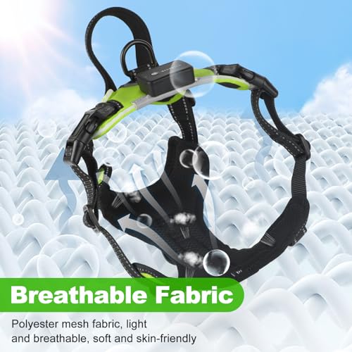 MASBRILL Lighted Dog Harness - No Pull, Adjustable Glowing Harness for Small to Large Dogs with Handle, Rechargeable LED Light - color: Green, size: S